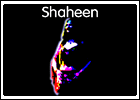 logo buikdanslijn shaheen