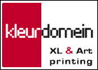 logo kleurdomein