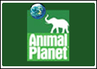 logo tv animalplanet