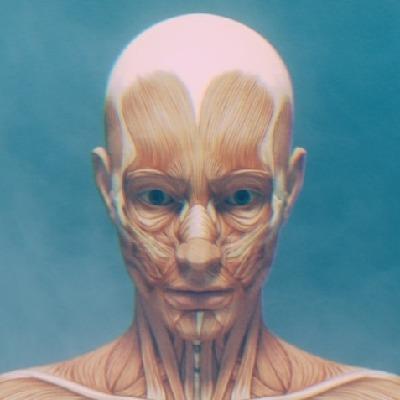 CGCortex CGCortex