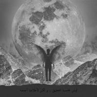 ART4FREEDOM Image